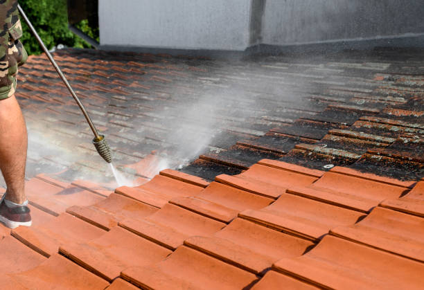 Trusted Maple Lake, MN Pressure Washing Experts