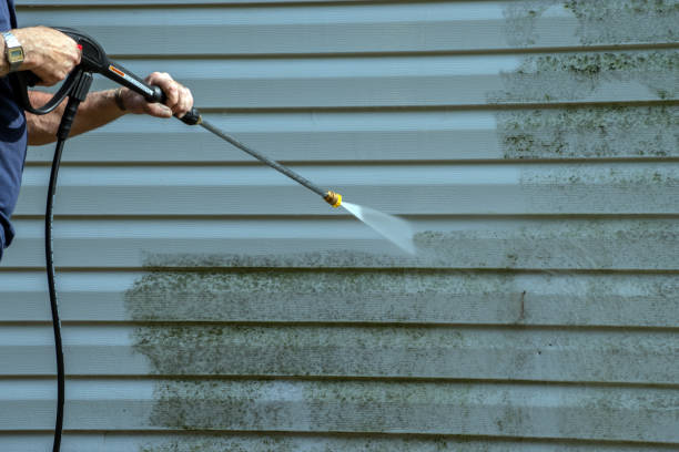 Best Best Pressure Washing Companies  in Maple Lake, MN