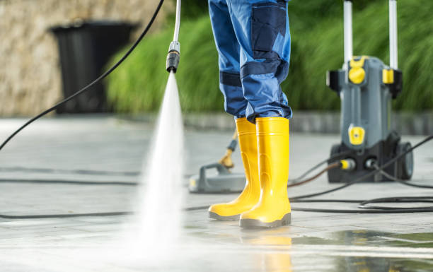 Best Local Pressure Washing Services  in Maple Lake, MN